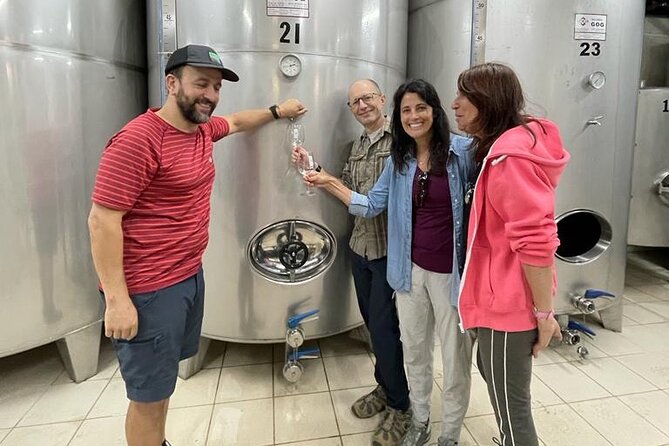 Coastal "Winery Camino Trail" Walking Tour from San Sebastian - The Camino route stretch: Roman path hiking with a real sense of direction