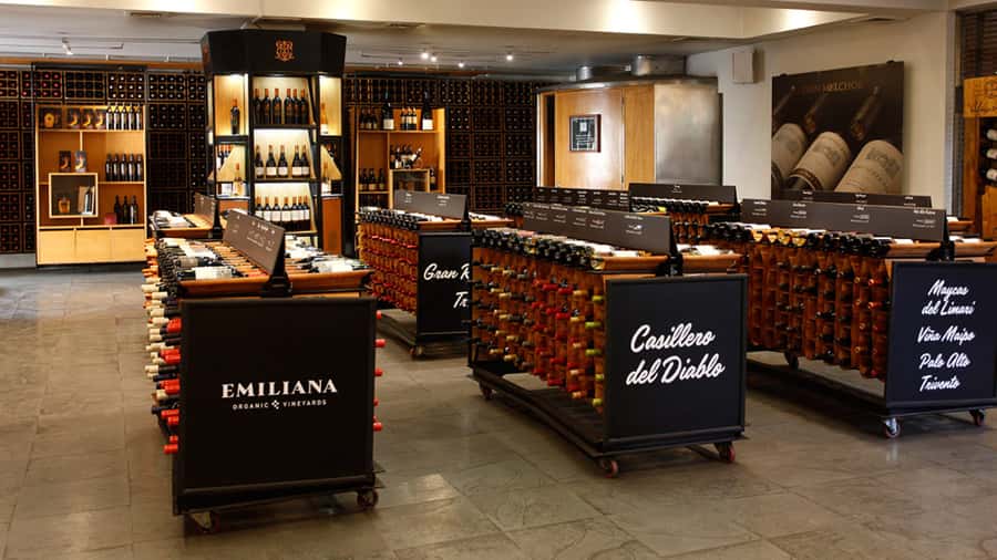 Concha y Toro Wine Tour with Dinner at the Winery - Getting there with Ruta Chile: comfort and timing you can trust
