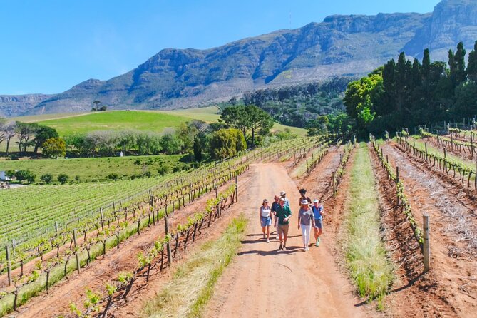Constantia Wine Walk Storytelling Vineyard Tour with Lunch - Key things I’d circle on your map