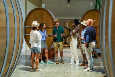 Constantia Wine Walk Storytelling Vineyard Tour with Lunch - Klein Constantia private trails, Vin de Constance, and sea views