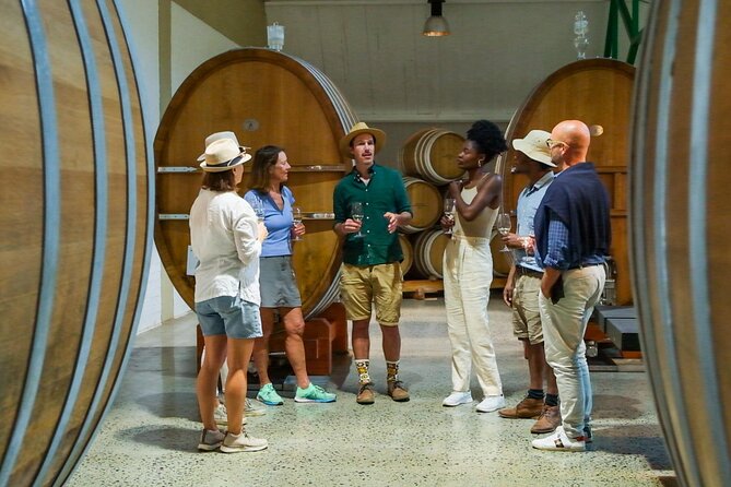 Constantia Wine Walk Storytelling Vineyard Tour with Lunch - Klein Constantia private trails, Vin de Constance, and sea views