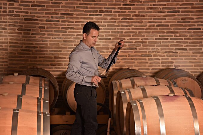 Corinth Winery Tour and Organic Fine Wine Tastings - Corinth Organic Winery Tour: what you’re really buying