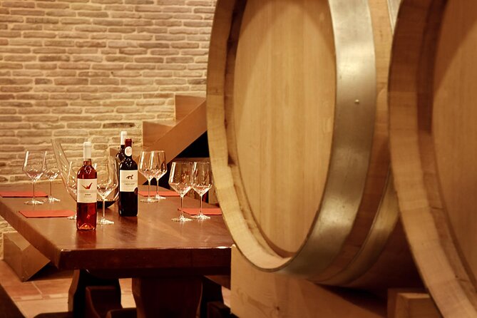 Corinth Winery Tour and Organic Fine Wine Tastings - From winemaking areas to the tasting cellar room