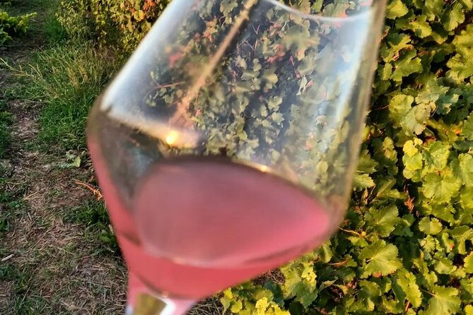 Corinth Winery Tour and Organic Fine Wine Tastings - Vegan-friendly options: tell them your needs