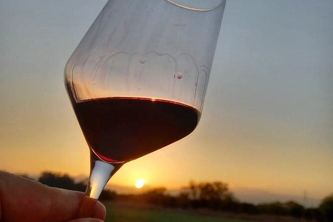 Corinth Winery Tour and Organic Fine Wine Tastings - Price and value: what $51.67 gets you in practice