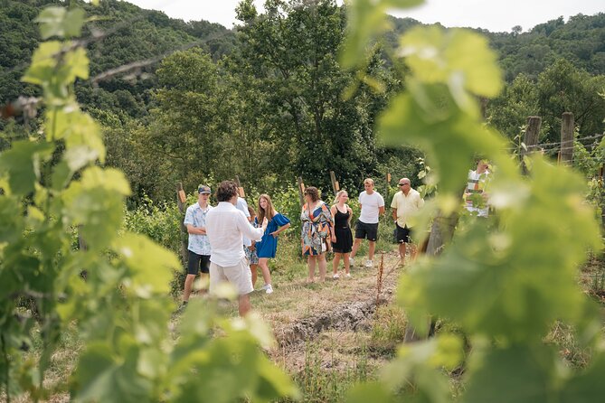 Cortecorbo winery: Pizza Cooking class, lunch & wine tasting - Pizza in a wood-burning oven: your hands learn fast