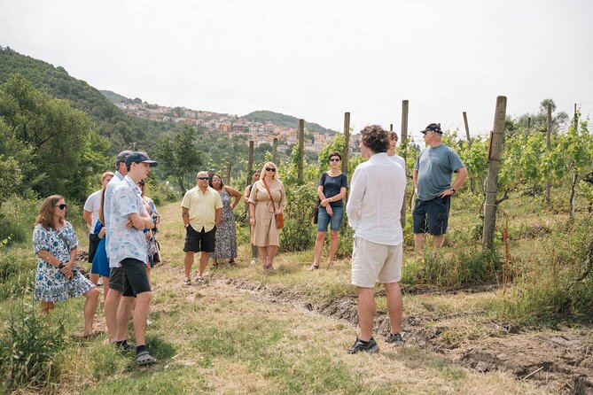 Cortecorbo winery: Pizza Cooking class, lunch & wine tasting - Six wines with your meal: reds and whites in a single story