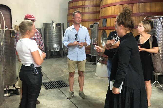 Côtes de Provence Small Group Day Trip with Winery Visits & Tastings from Nice - What makes the guide matter: English explanations that don’t talk down