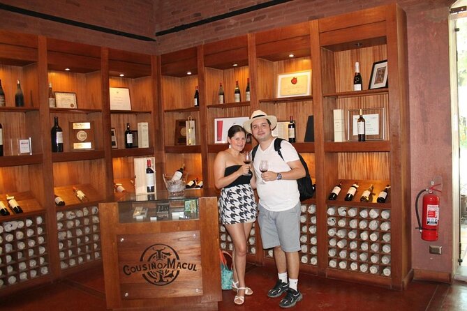 Cousiño Macul Vineyard - Maipo Valley - Premium Tasting - HD - Cousiño Macul in the Maipo Valley: wine country that fits your day