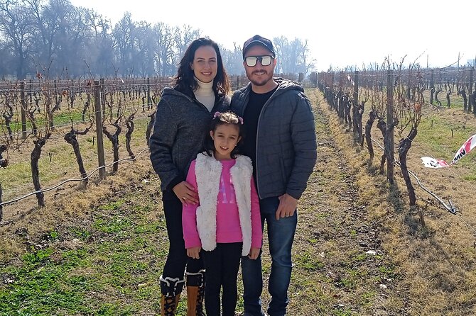 Cousiño Macul Vineyard - Maipo Valley - Premium Tasting - HD - Touring the winery areas: what happens before the cellar