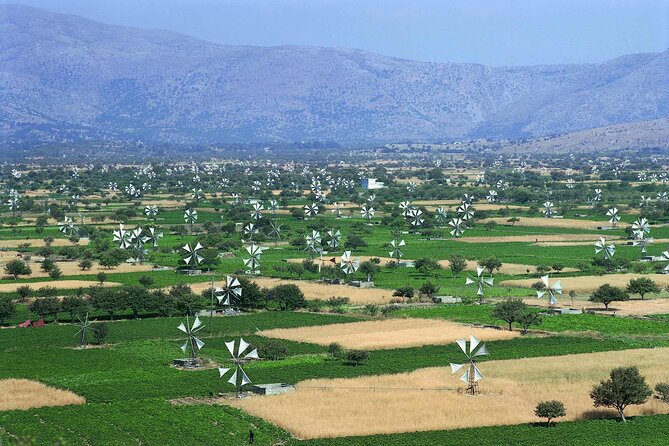 Crete in a Day: Knossos, Soap Workshops, Olive Oil & Wine Tasting - Logistics That Affect Your Comfort: Heat, Time, and Pickup