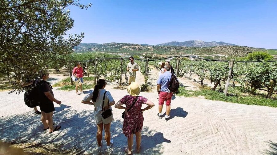 Crete: Knossos Palace, Winery & Olive Oil Tour with Lunch - Key moments that make this tour worth your time