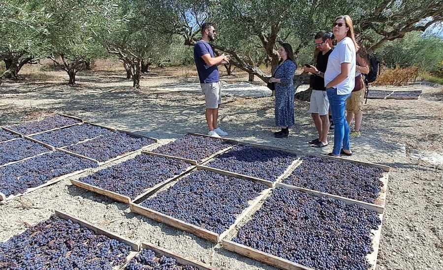 Crete: Knossos Palace, Winery & Olive Oil Tour with Lunch - Should you book this Knossos Palace, winery, and olive oil tour?