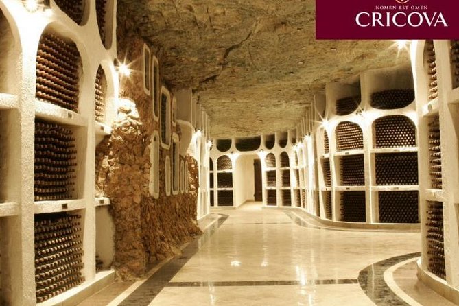 CRICOVA Winery tour with tasting from Chisinau - Who this tour suits best (and who might prefer something else)