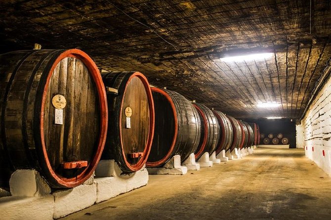 Cricova Winery with Tasting - Cricova Winery: Why These Limestone Tunnels Matter