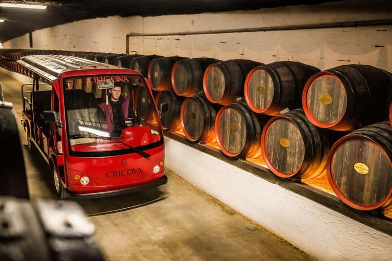Curchi Monastery, Old Orhei and Cricova Winery (Optional) - Price and Logistics: What You Pay For, What You’ll Pay On-Site