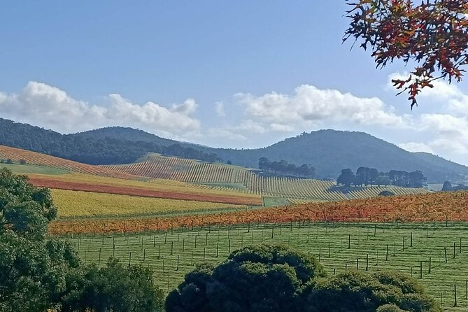 Customized private winery day tour in Yarra Valley at your own choices - What Private Guides Tend to Do Best Here