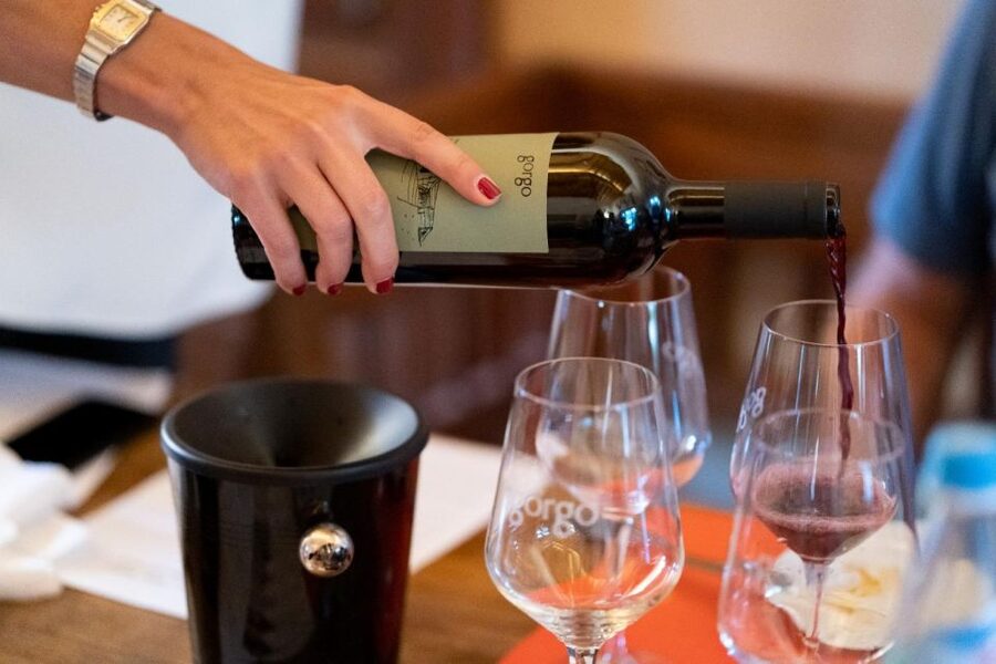 Custoza: Organic Wine Tasting with Vineyard and Cellar Tour - Key Things to Know Before You Go