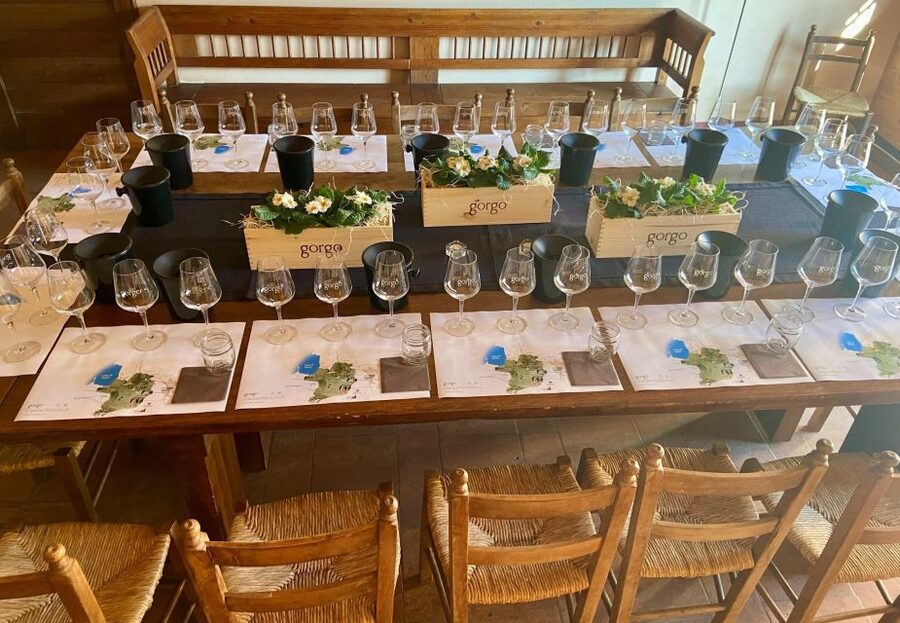 Custoza: Organic Wine Tasting with Vineyard and Cellar Tour - Why This Custoza Wine Tasting Feels Worth Your Time