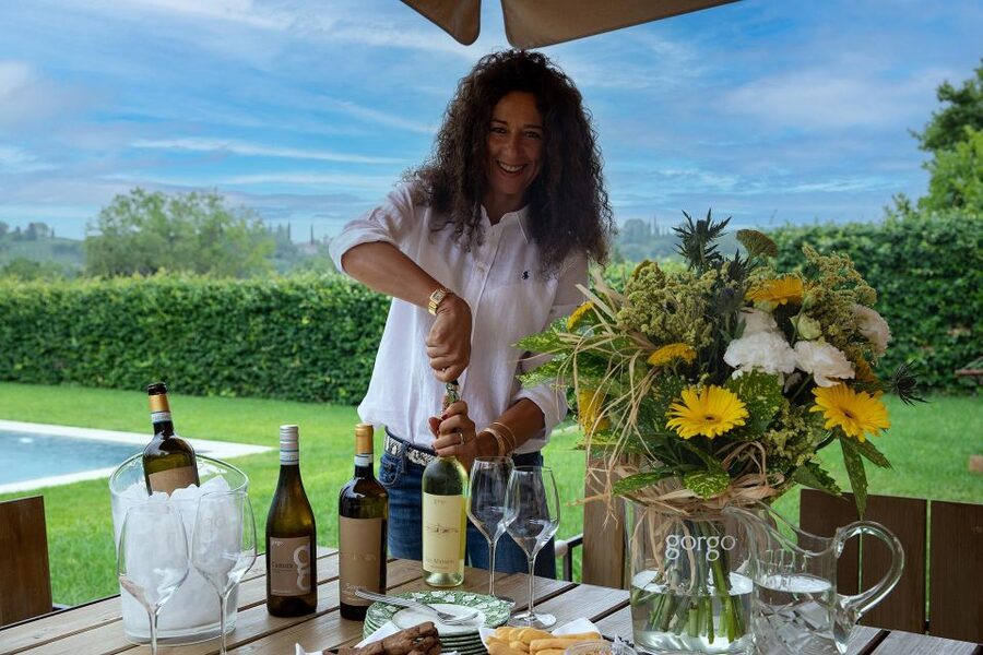 Custoza: Organic Wine Tasting with Vineyard and Cellar Tour - Vineyard Start: Seeing Organic Production Where It Happens