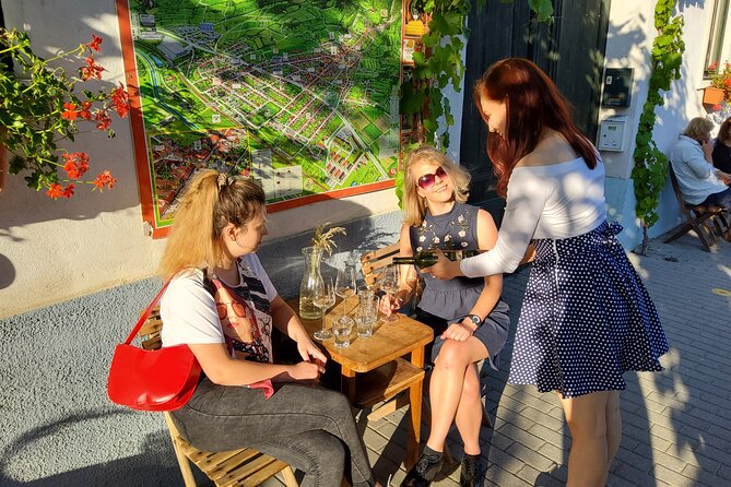 Day trip from Bratislava: Winery Tour with Wine Tasting in the Countryside - What You’ll Taste: Six Samples, Cheese Pairing, and a Sensible Flow
