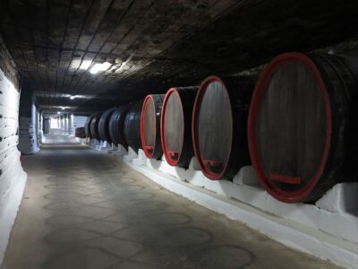 Day trip to Moldova - visit Chisinau and Cricova Winery - Capriana Monastery: A Calm Start With Real Political Backstory
