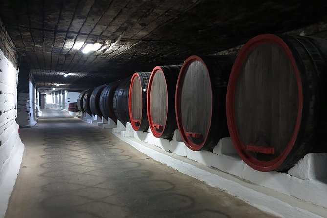 Day trip to Republic of Moldova - visit Chisinau and Cricova Winery - Who This Tour Suits Best (And Who Might Want Another Option)