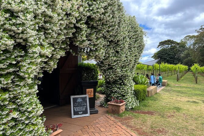 Deluxe Winery Tour to Tamborine Mountain (Mon-Tues) - Key highlights I’d circle before you book