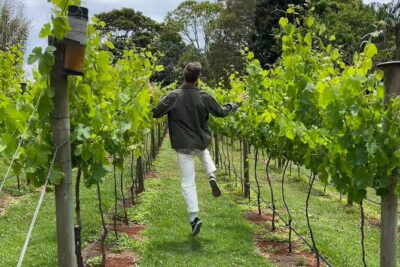 Deluxe Winery Tour to Tamborine Mountain (Mon-Tues) - Is $223 a good deal for two wineries and a distillery?