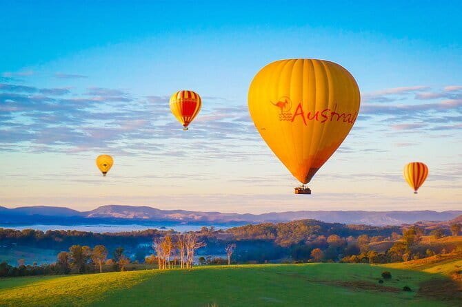 Deluxe Winery Tour to Tamborine Mountain (Mon-Tues) - Hangliders Lookout: why the scenic stop isn’t filler