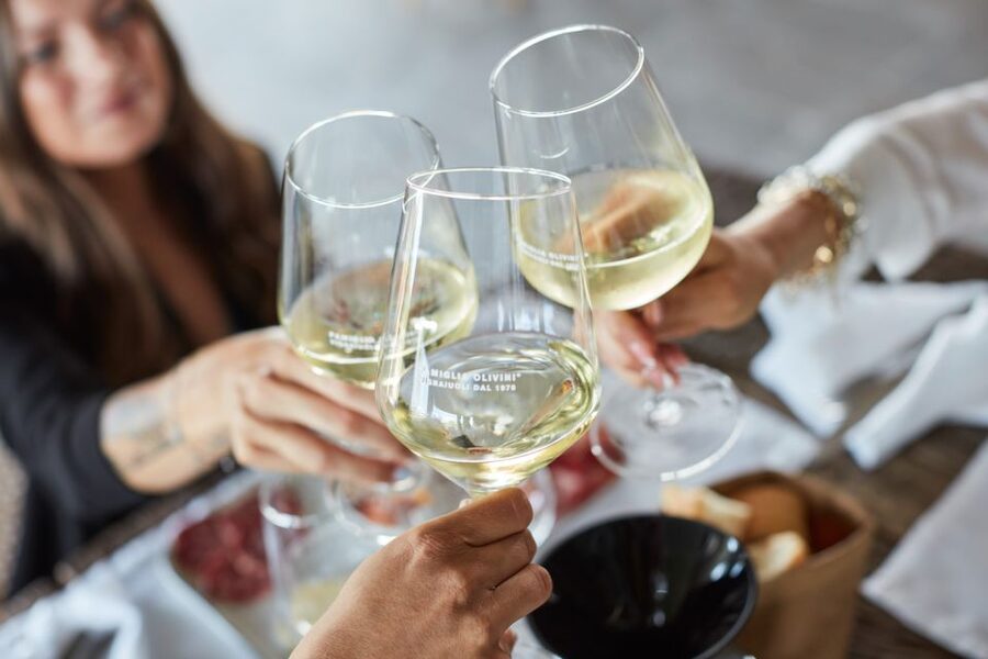 Desenzano: Lugana Wine-Tasting and Vineyard Tour - Key highlights you’ll care about