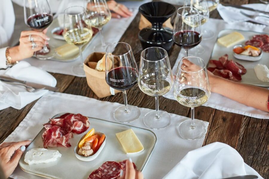 Desenzano: Lugana Wine-Tasting and Vineyard Tour - Who should book this tour (and who might want to skip it)