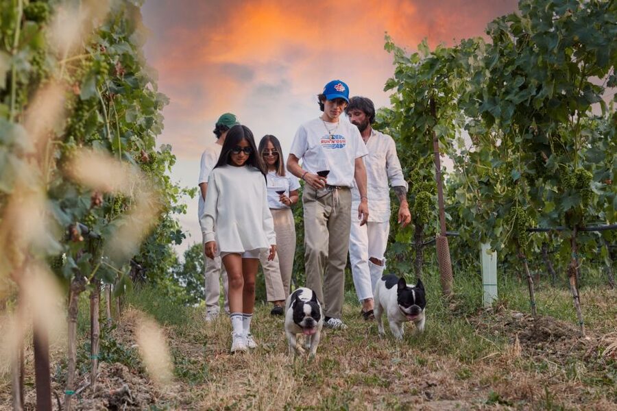 Desenzano: Lugana Wine-Tasting and Vineyard Tour - Why Lugana and Valtenesi wine country makes this tour feel local