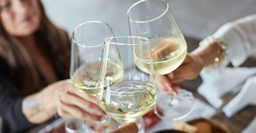 Desenzano: Lugana Wine-Tasting and Vineyard Tour - Vineyard walking: what you’ll see before the cellars steal the show