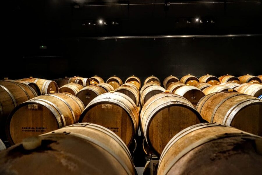 Desenzano: Lugana Wine-Tasting and Vineyard Tour - The tasting lineup: 4 wines that map the region’s range