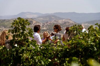 Di Giovanna Winery Tour & 3 Wine Tasting - The 90-minute flow: vineyard tour to tasting room