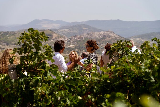 Di Giovanna Winery Tour & 3 Wine Tasting - The 90-minute flow: vineyard tour to tasting room