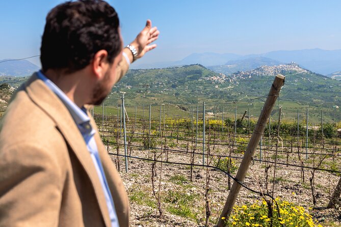Di Giovanna Winery Tour & 5 Wine Tasting - Quick Take: Di Giovanna Winery in Sambuca di Sicilia