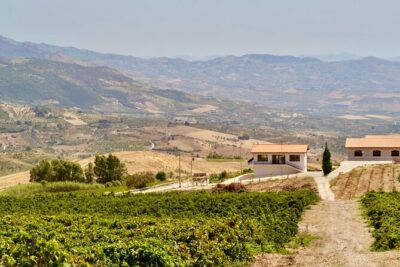 Di Giovanna Winery Tour & 5 Wine Tasting - The 5-Wine Tasting: How Vurria and Helios Shape the Experience