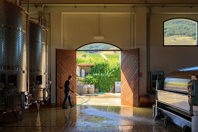 Di Giovanna Winery Tour & 5 Wine Tasting - Timing, Duration, and Where to Meet in Sambuca di Sicilia