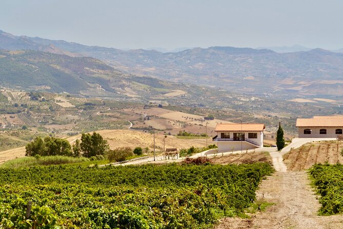 Di Giovanna Winery Tour & 5 Wine Tasting - The 5-Wine Tasting: How Vurria and Helios Shape the Experience