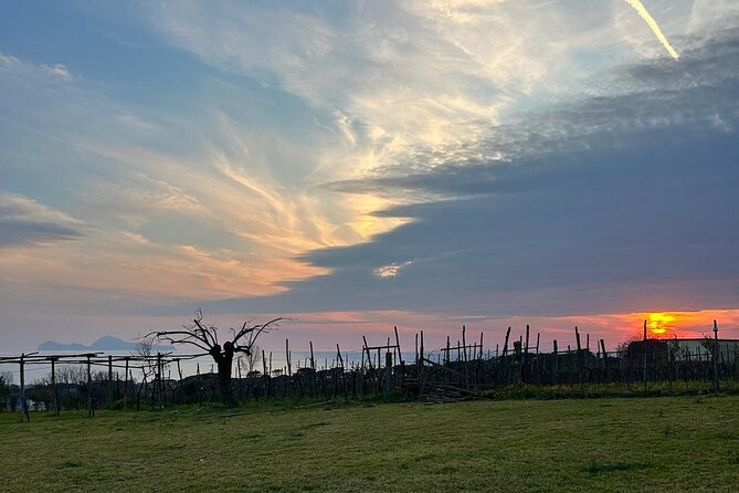 Dinner at a Winery on the Slopes of Mount Vesuvius - Key things I’d mark on your planning map