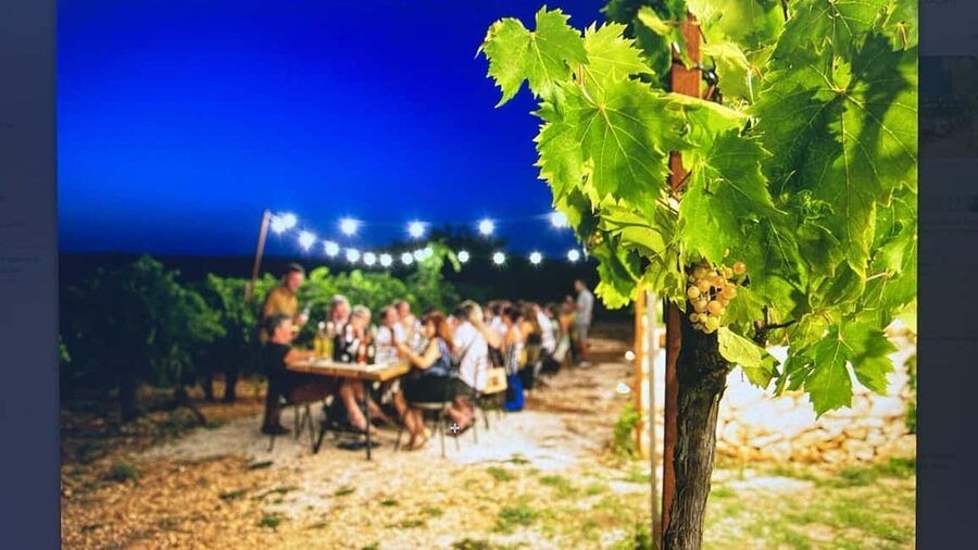 Dinner in the vineyard and wine tasting under the stars - Key highlights you’ll care about