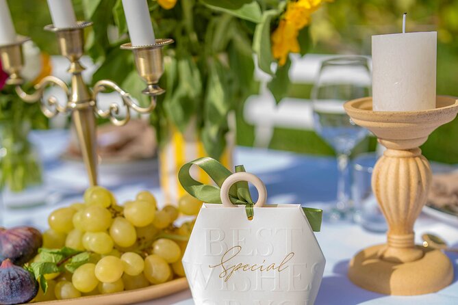 Dinner in the Vineyard French Riviera - The French Riviera vineyard view starts the meal