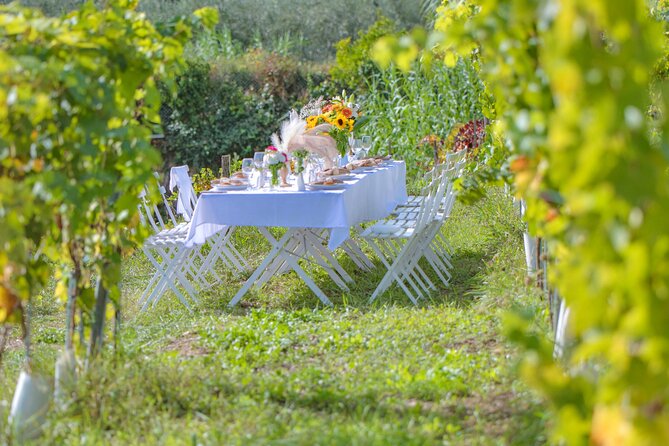 Dinner in the Vineyard French Riviera - When music and art appear (and when they don’t)