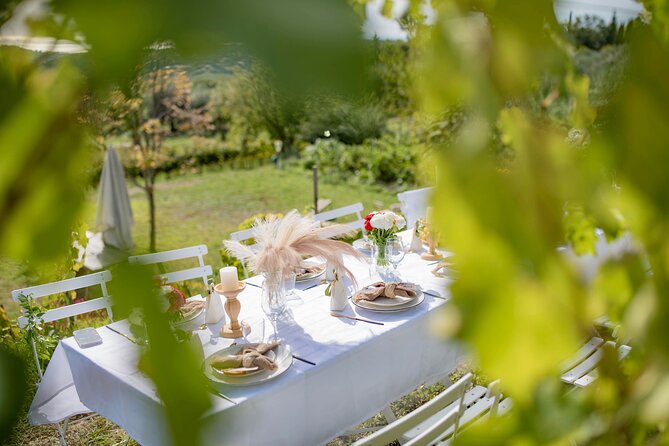 Dinner in the Vineyard French Riviera - Timing, meeting point, and getting there from Nice