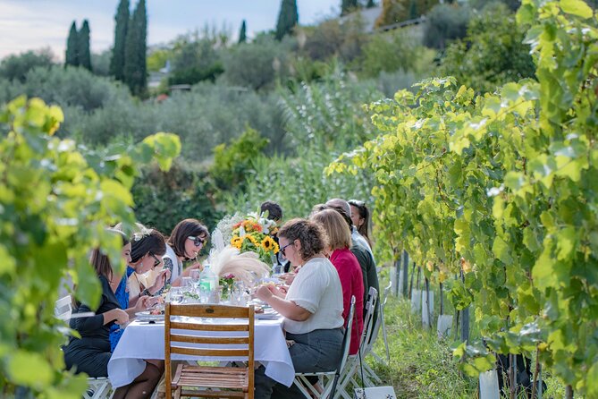 Dinner in the Vineyard French Riviera - The cave, the vines, and those secular olive trees