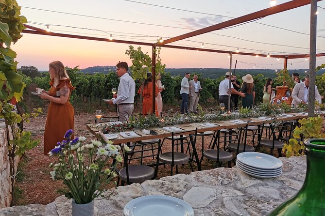 Dinner in the vineyard with wine tasting and walk - Key things I think you’ll remember
