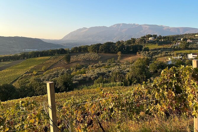 Discover Abruzzo: Winery Tour and Wine Tasting with Meal - Price and timing: does $101.58 feel fair?