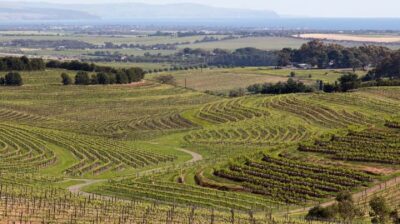 Discover Hahndorf & Taste McLaren Vale - Hahndorf: German Village Stop for Real Walking and Shopping